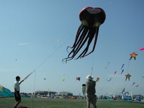 Octopus kite