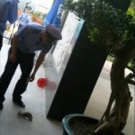 cat animal abuse shenzhen security guard hospital journalist beaten attack