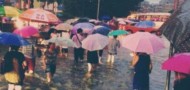 guangzhou heavy rain flood traffic roads flooding