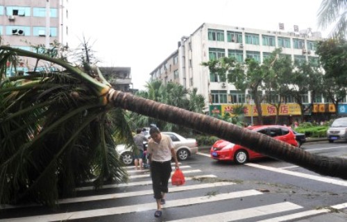 rammasun typhoon rain wind extreme weather