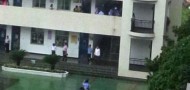 hubei school stabbings