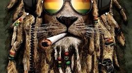Medium_reggae_brunch_bbq3