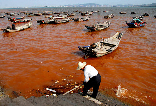 red tide